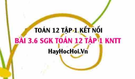 Bài 3.6 SGK Toán 12 tập 1 Kết nối tri thức